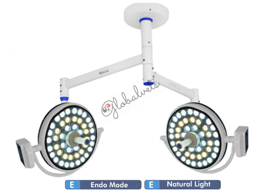 Globalvets LED 48 + 48